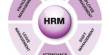 Report on  HRM Practices