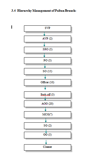 Hierarchy Management of Paltan Branch