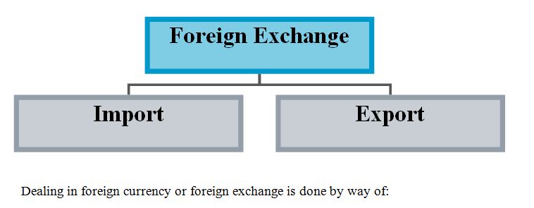 Loans and Investment