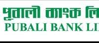 Report on Pubali Bank Ltd