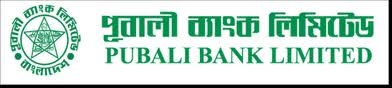 Report on Pubali Bank Ltd