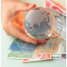 Report on Investment and Foreign exchange