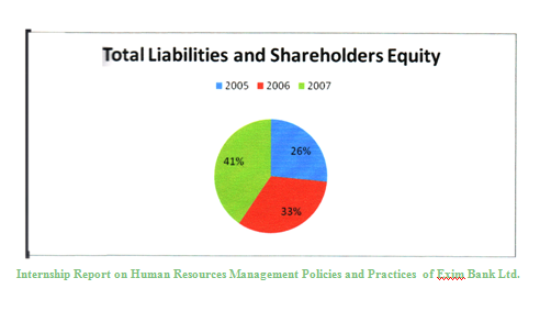 Total Liabilities and Shareholders Equity