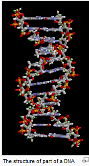 dna