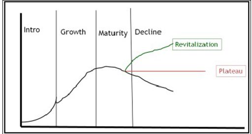 life cycle