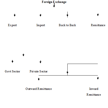 pubali bank