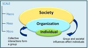 Report on Multitude of Social Systems