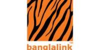 Report on Roles and Responsibilities of Manager in Banglalink GSM Telecom