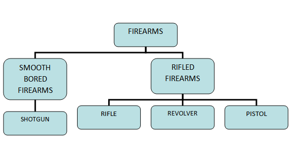 CLASSIFICATION