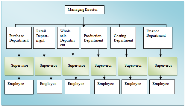 Company structure