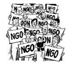 Criticisms of NGOs