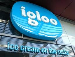 Report on Igloo Ice Cream