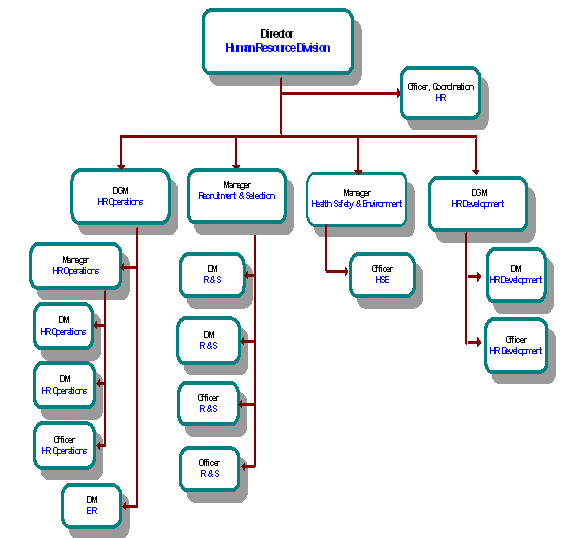 Organization Structure of Grameen Phone Ltd