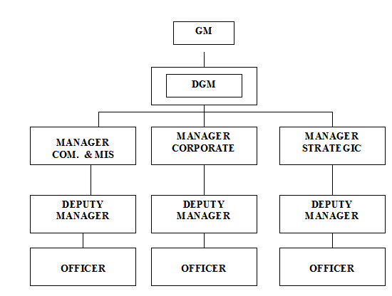 Organogram Of The Department