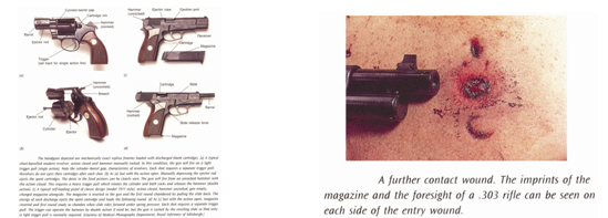 Parts of a Firearm