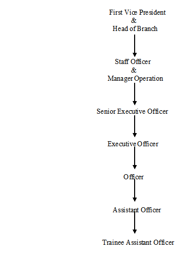 The hierarchy of the Branch