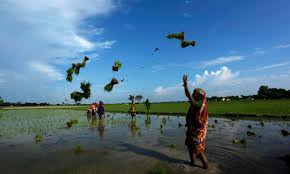 WORLD TRADE IN AGRICULTURE BANGLADESH