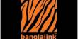 Organization Overview of Banglalink Digital Communications Limited
