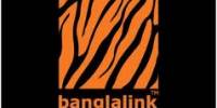 Organization Overview of Banglalink Digital Communications Limited