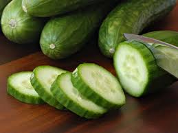 Assignment on Cucumber Cultivation and its Procedures