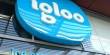 Report on Business Strategies of Igloo Ice Cream