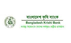 Report on Overall Banking of Bangladesh Krishi Bank