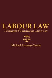 Thesis Paper on Workers Retrenchment Under Labour Law
