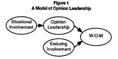 model of opinion leadership