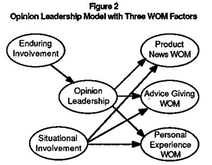 opinion leadership model