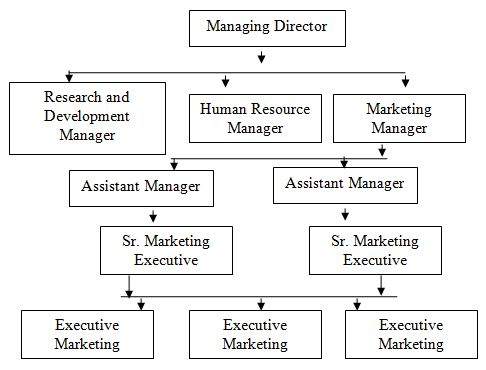 organizational structure