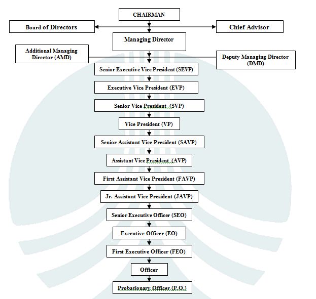 organogram