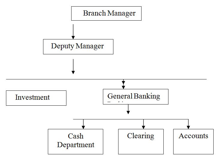 organogram,