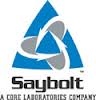 Assignment on Case Study on Saybolt Group Limited