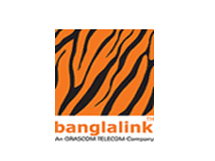 Operational Excellence in HR Services in Banglalink