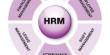 The HRM Practices in the Event Management Sector of Bangladesh
