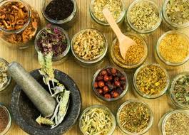 Indigenous Knowledge of Herbal Medicine in Bangladesh