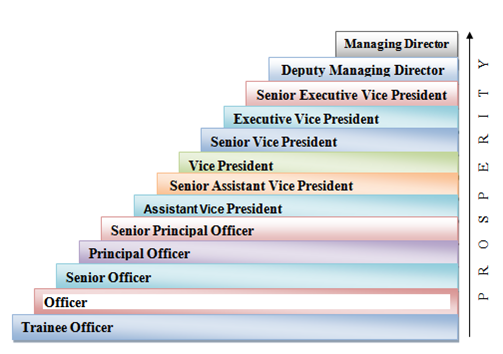 Management hierarchy