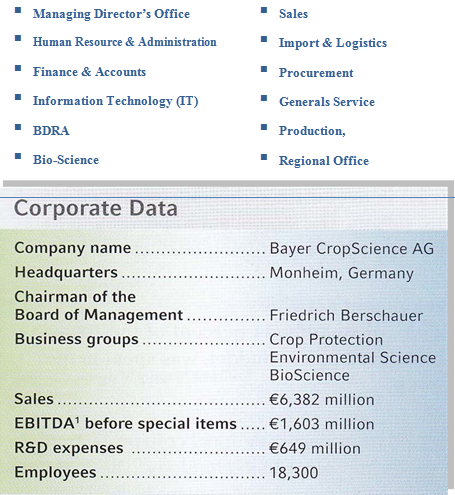 Organization Structure