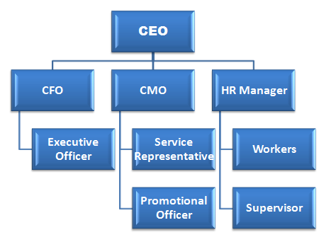 Organizational Hierarchy
