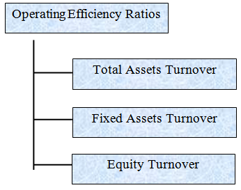 Types of Operating Efficiency Ratios