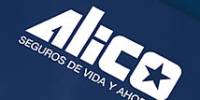 Human Resource Management and Recruitment System of Alico