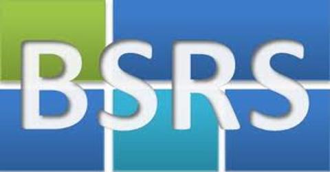 Term Paper of BSRS (Bangladesh Shilpa Rin Sangstha)