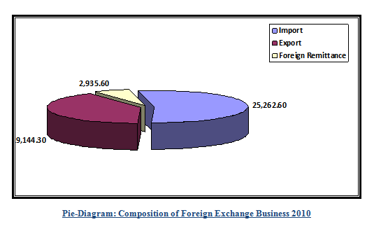 Composition of Foreign Exchange Business 2010