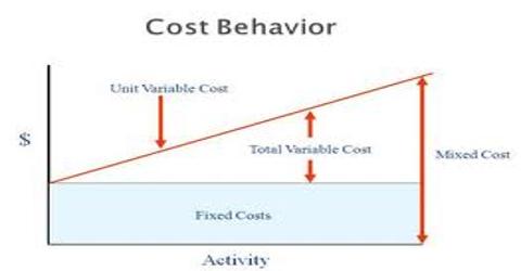 Lecture on Cost Behavior