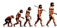 Evolution of HRM