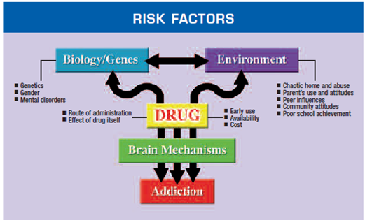 Factors Increase Risk Of Addiction