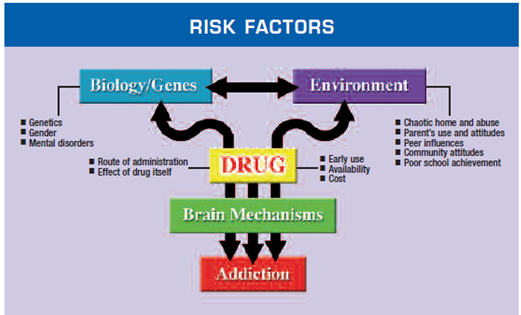 report-on-drug-abuse-and-addiction-assignment-point