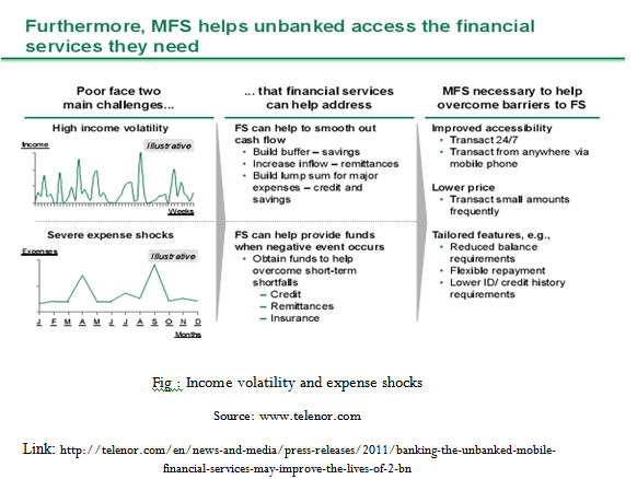 Income volatility and expense shocks