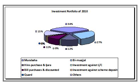 Investment Portfolio 2010