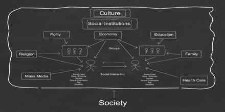 social structure assignment